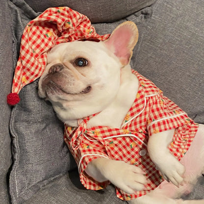 Teddy Clothing for Dogs & Cats